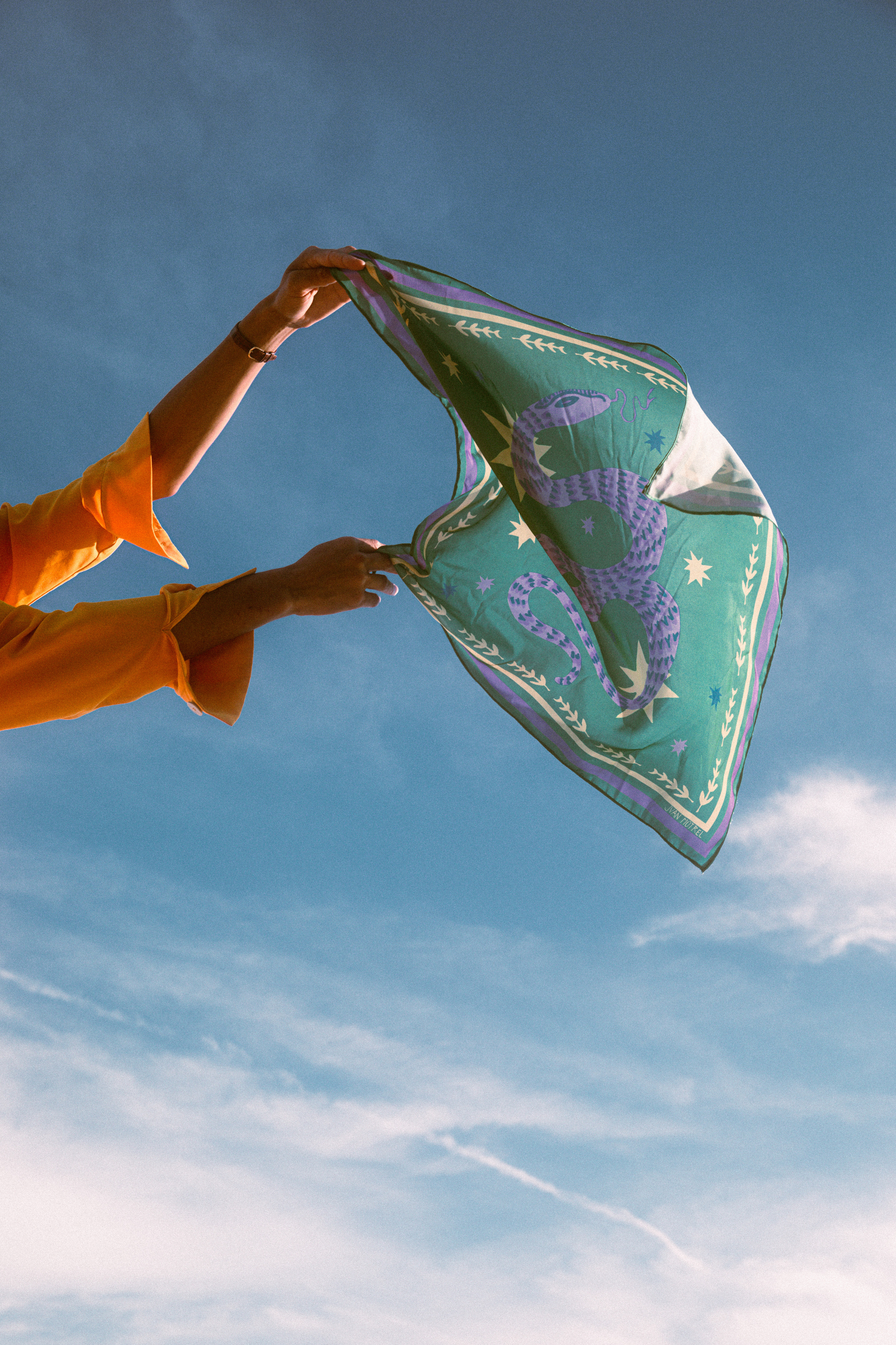 Man Holding Silk Scarf in the Air